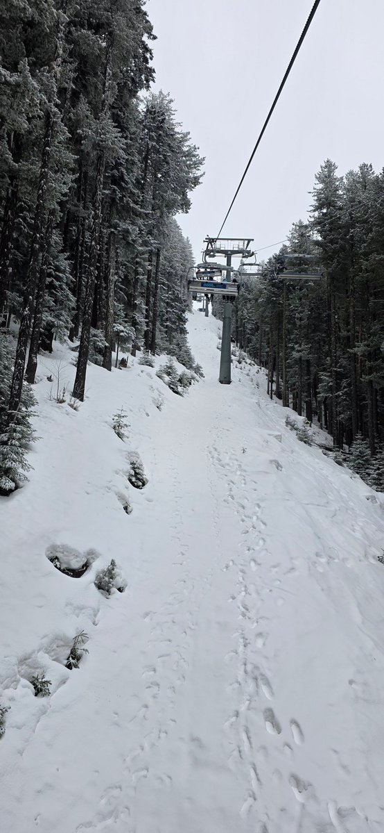 DailyCoinPulse tweet media