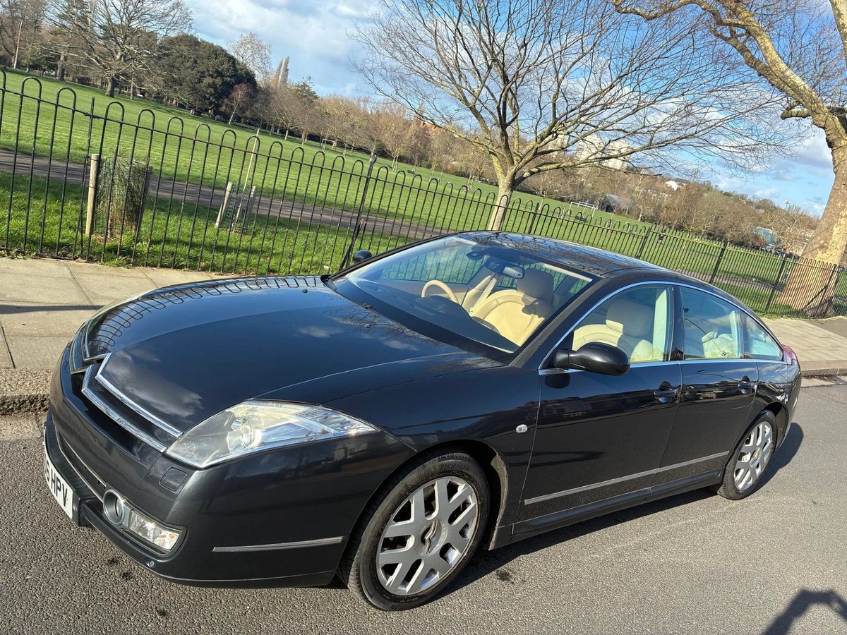 Lewis Kingston tweet media