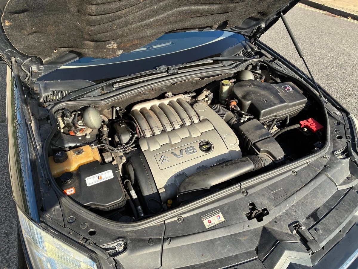 Lewis Kingston tweet media