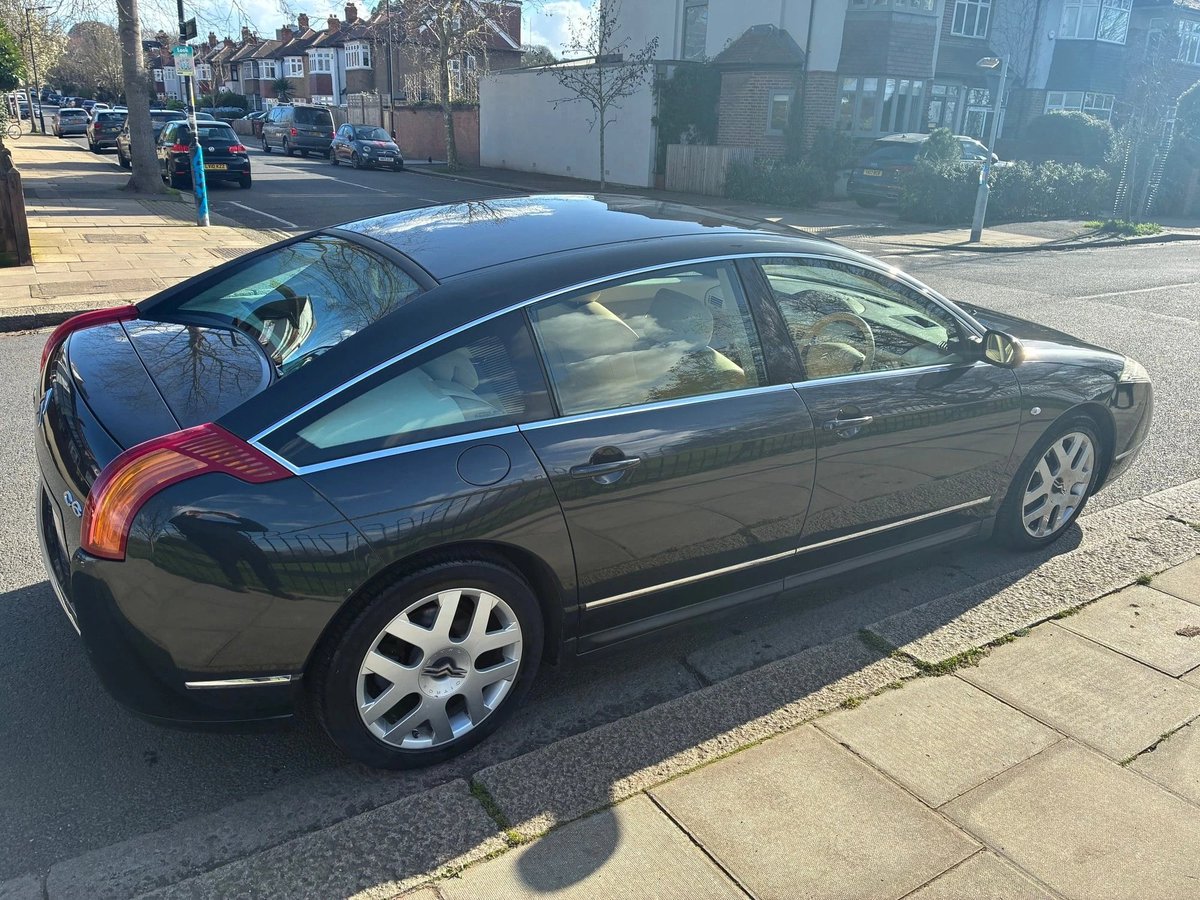 Lewis Kingston tweet media