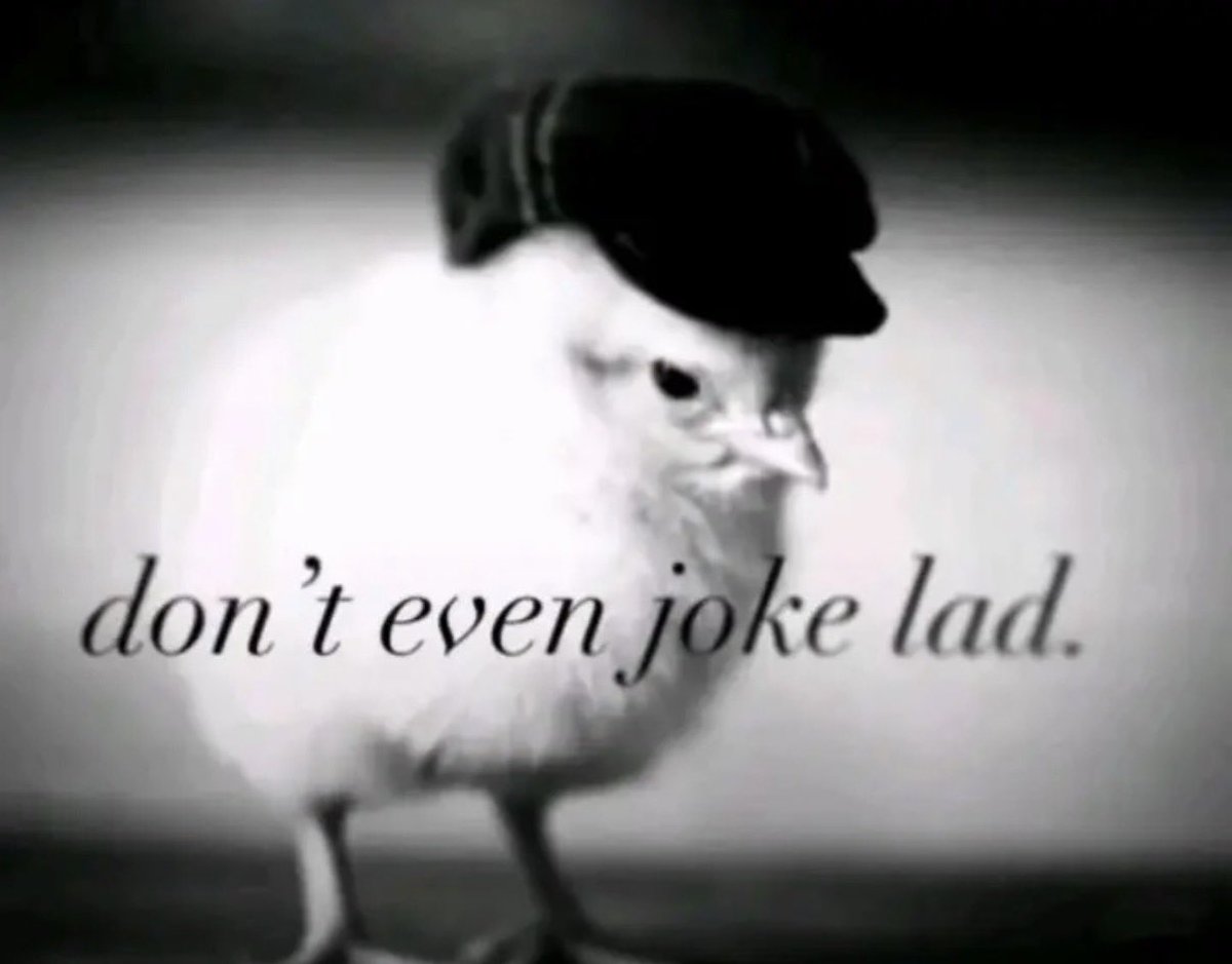 mango 🇲🇽 tweet media