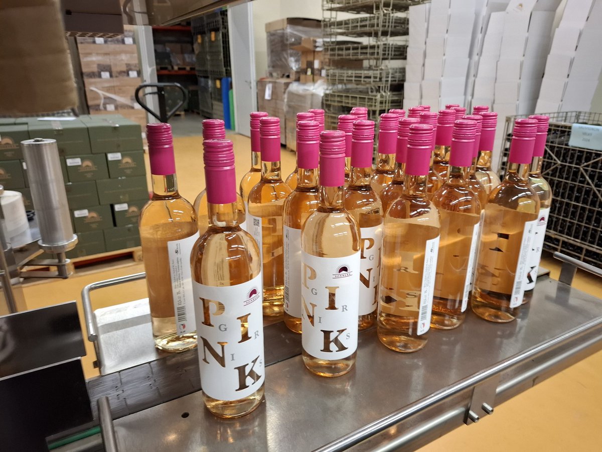 DrapalOlda's tweet photo. Už to jede, už to sviští. PinkGris 2025
Od zítřka u nás na vinotéce a v eshopu už dneska @WinerySonberk. 
https://t.co/oh1sBdBRWN #rose #pinot #wine https://t.co/tLWVA7vSnR