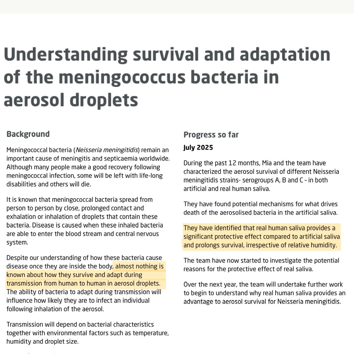 Cat in the Hat 🐈‍⬛ 🎩 🇬🇧 tweet media