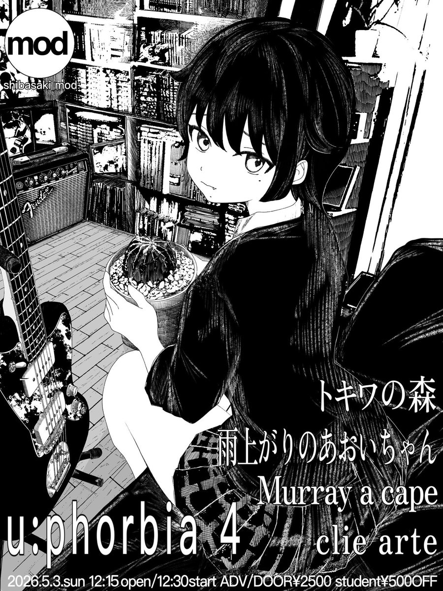 トキワの森 tweet media