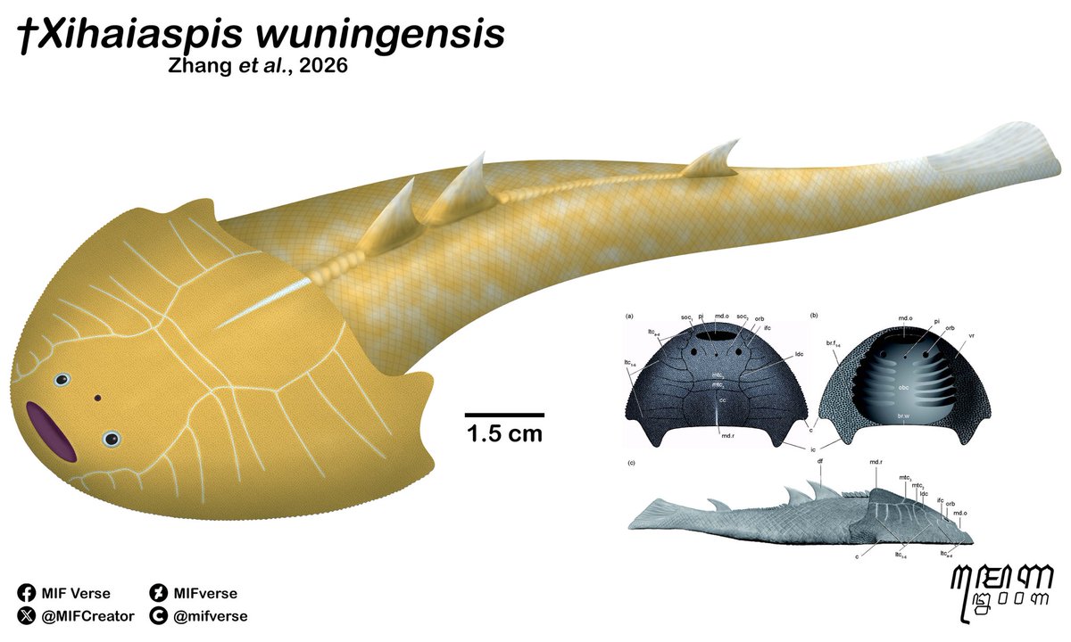 Boneka imut tweet media