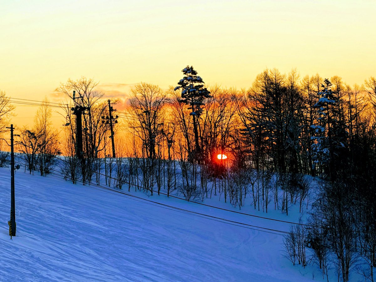 Hokkaido Dreamin'🇦🇺🇯🇵 tweet media