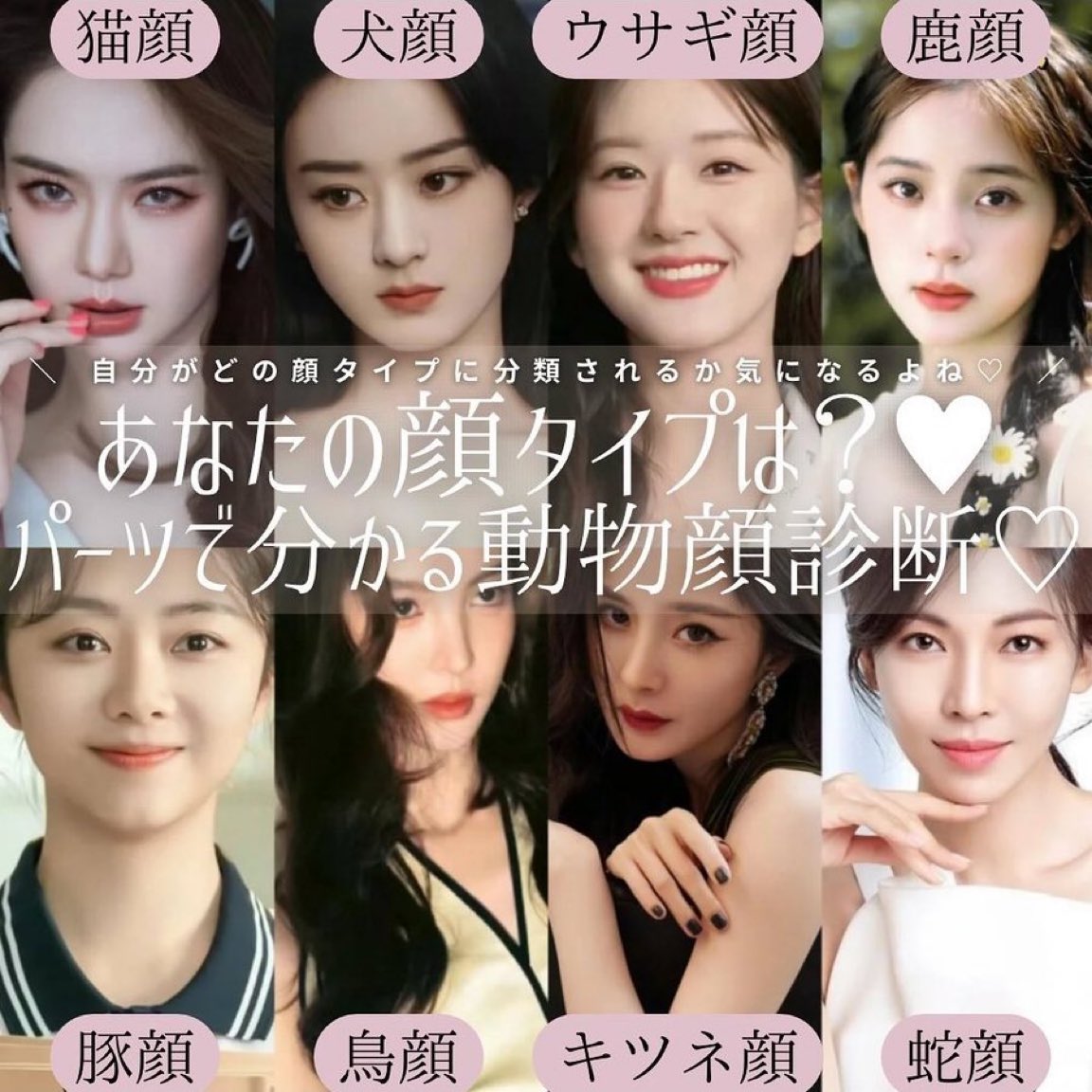 メグちゃん tweet media