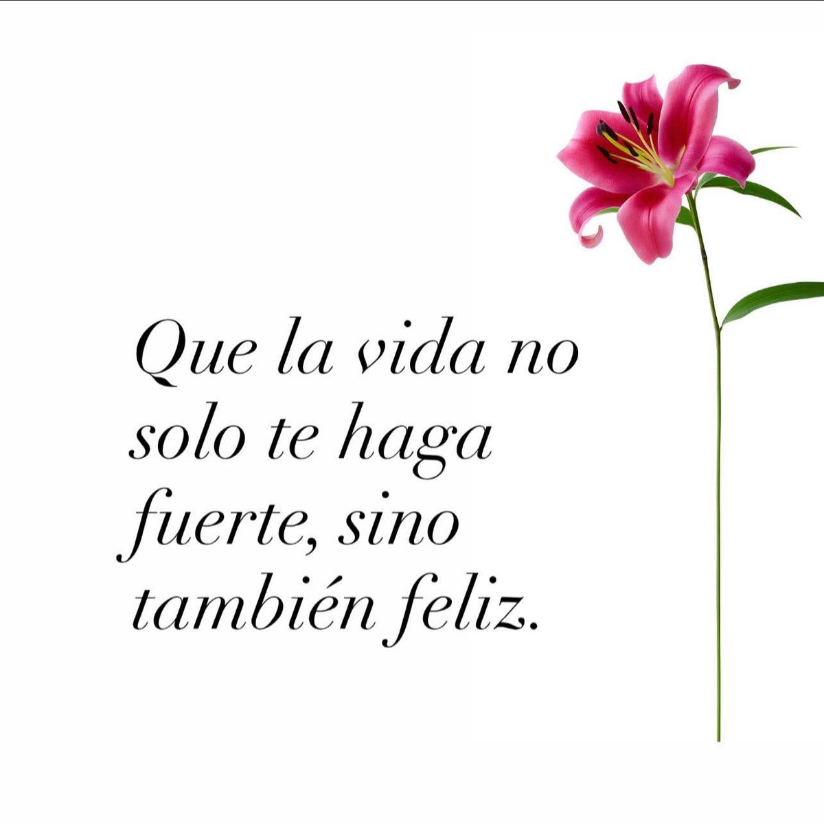 ✨Creo estar soñando✨ tweet media