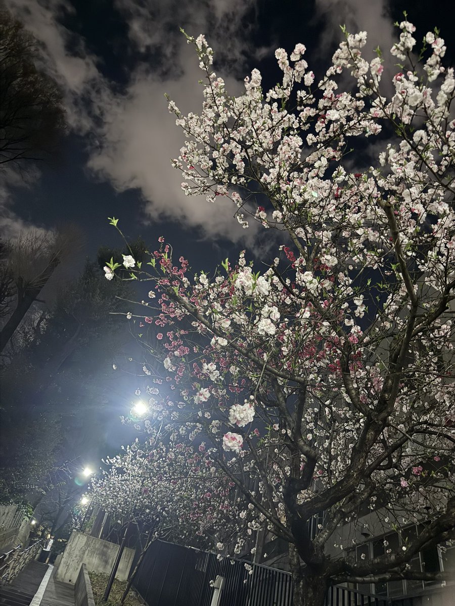 鳥翅ゆば。バッドエンド合同参加者募集中 tweet media