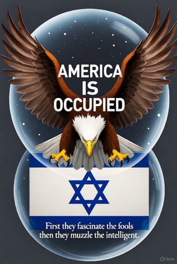 Isabel Magalhaes tweet media