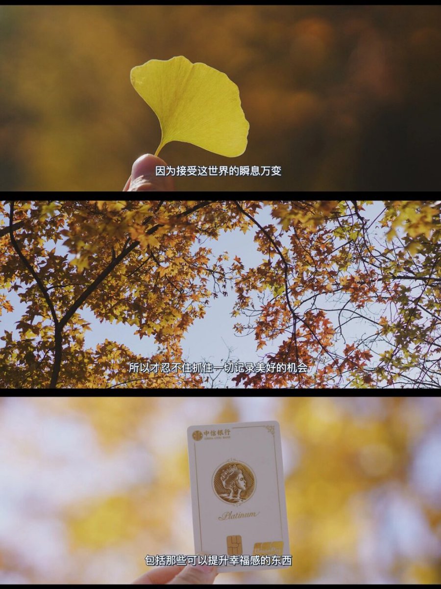 Octavian Nothing tweet media