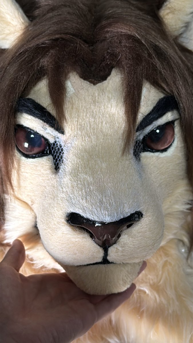 Qiuqiu秋秋 tweet media