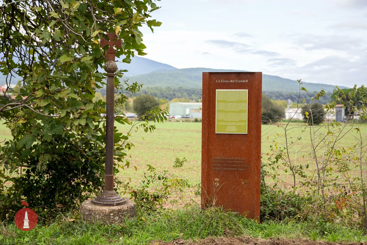 Memòries de combat tweet media