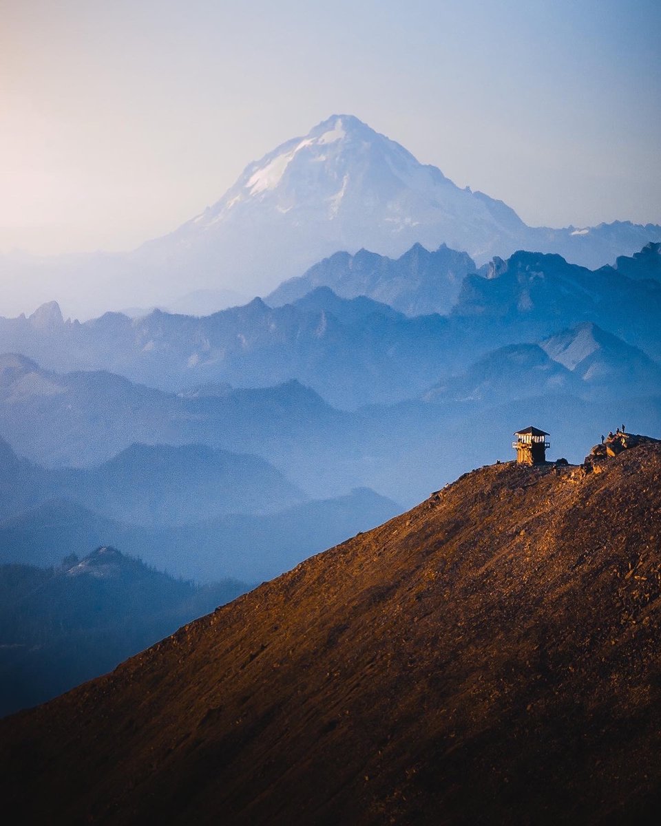 Purely Green tweet media