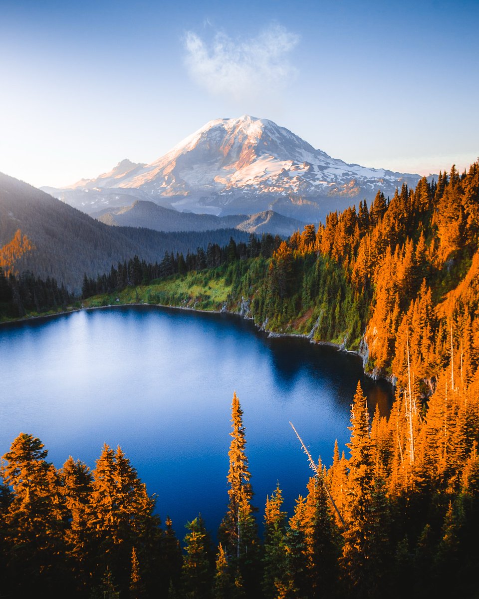 Purely Green tweet media