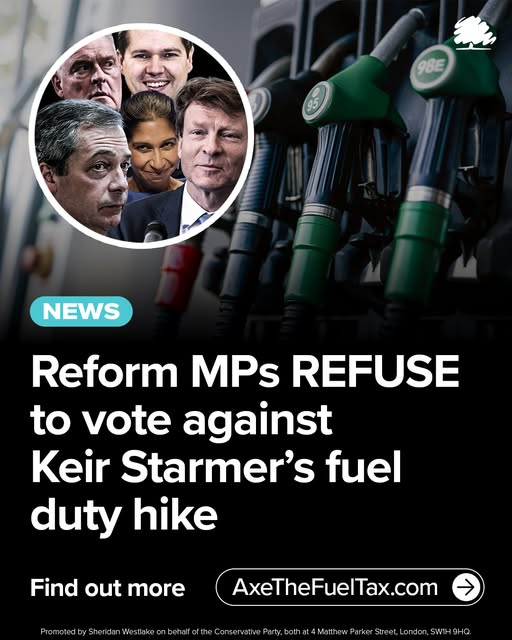 dave lawrence 🐟🐟🐠 tweet media