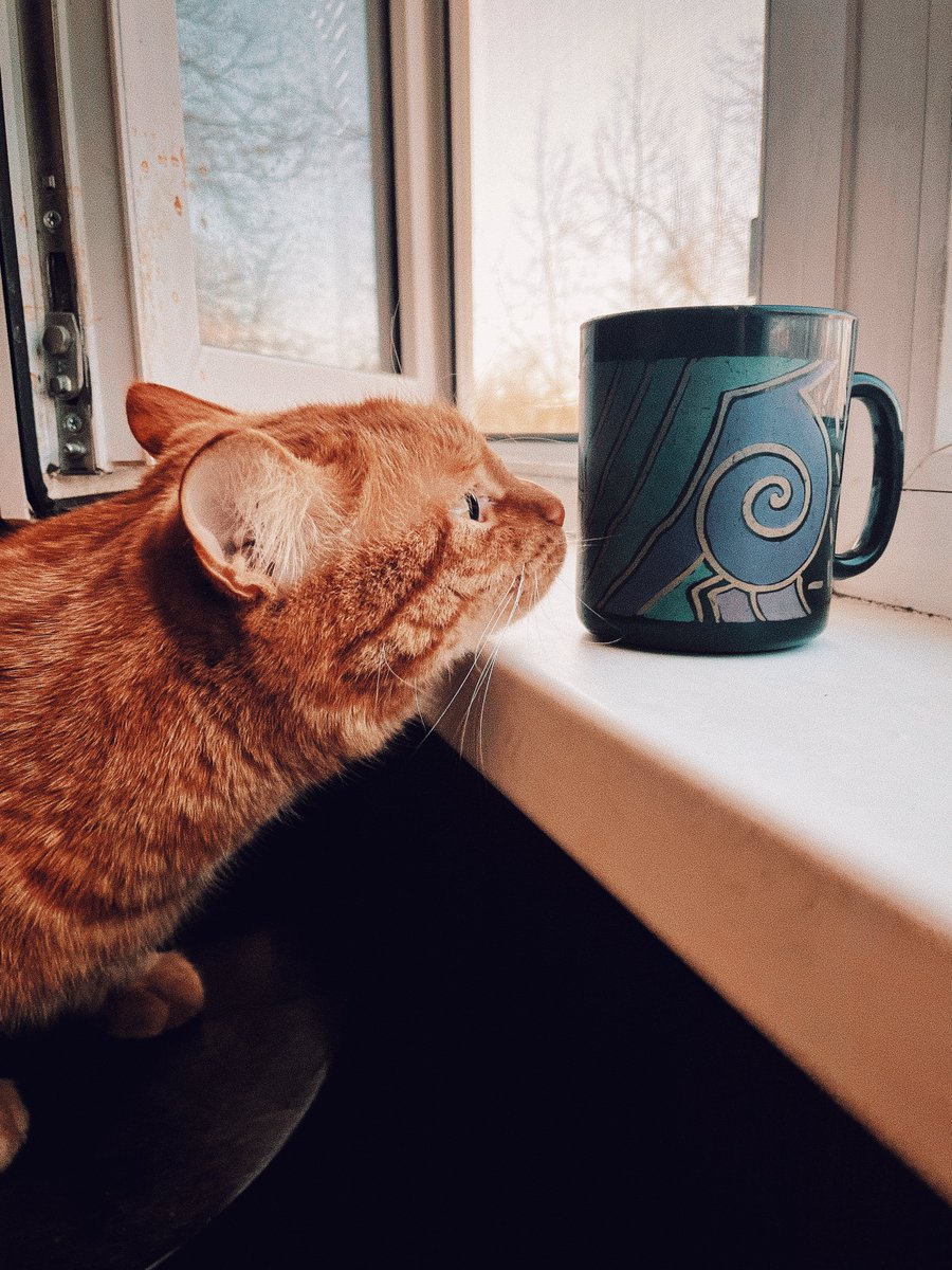 Aleksey Eltsöv tweet media