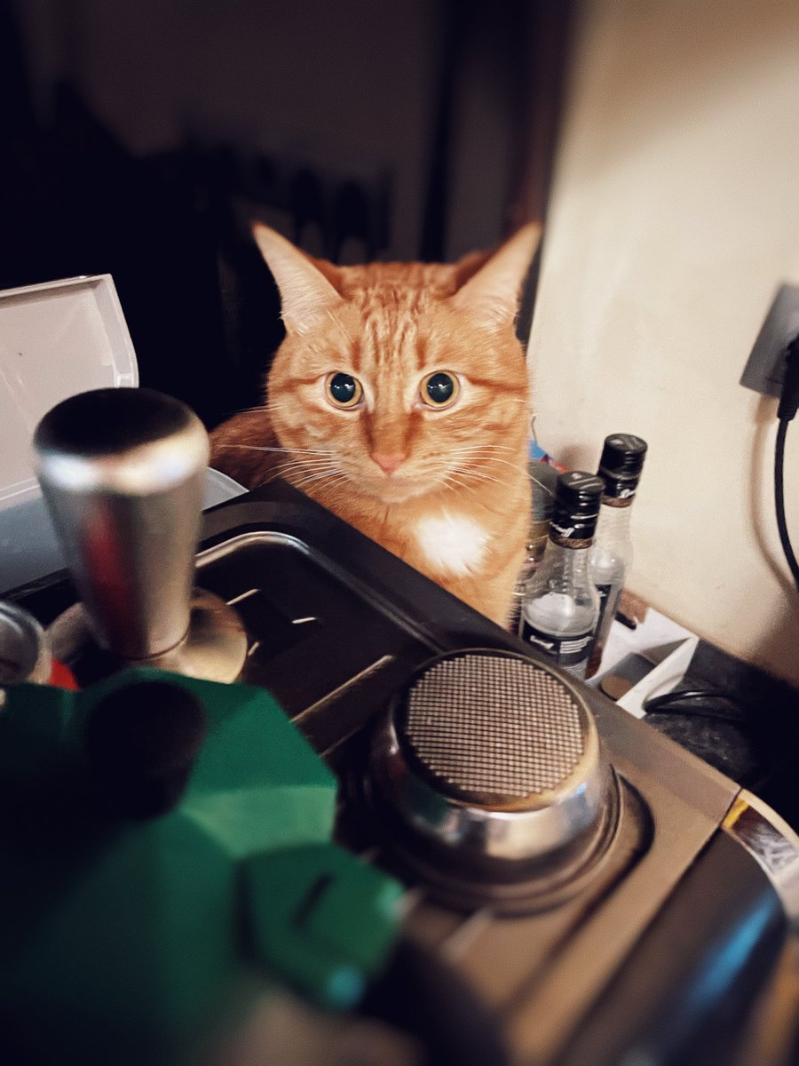 Aleksey Eltsöv tweet media