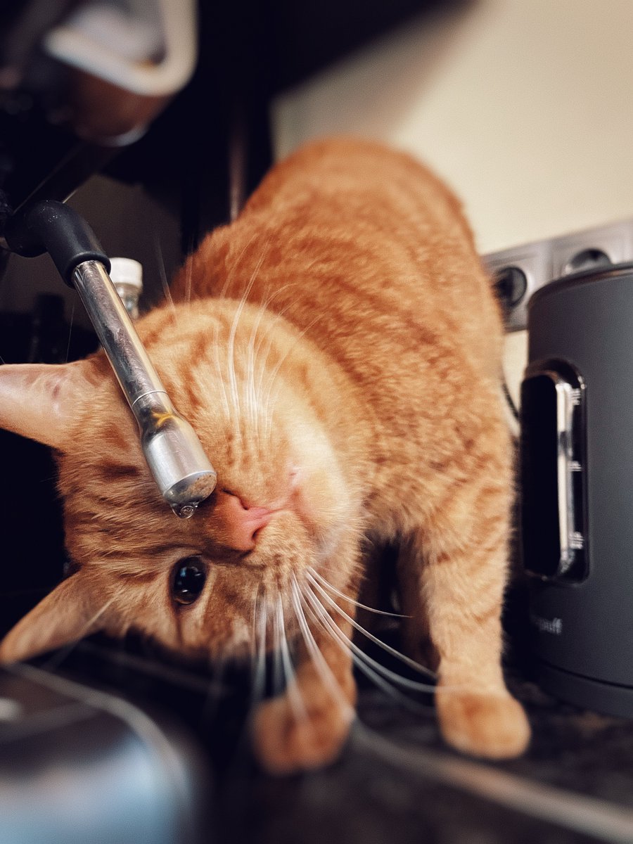 Aleksey Eltsöv tweet media