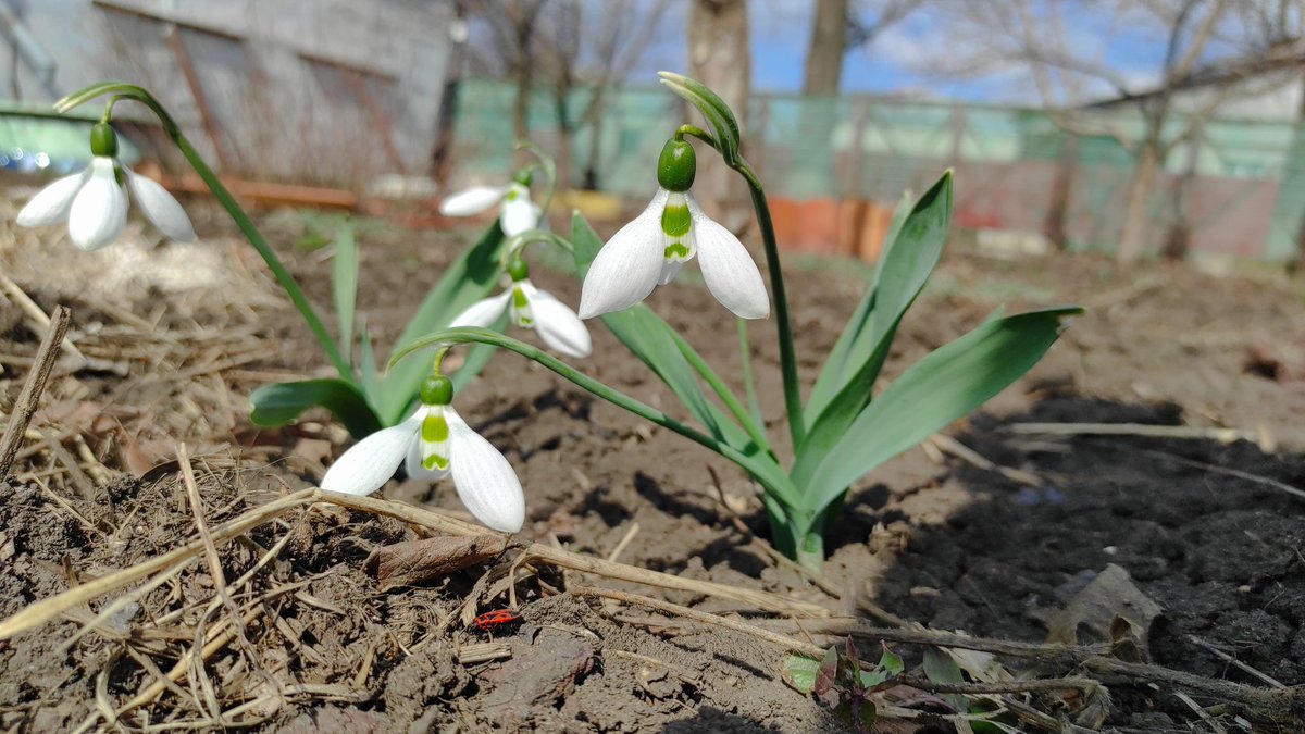 Julia ManekiNeko💫 | DRIP 💧 tweet media