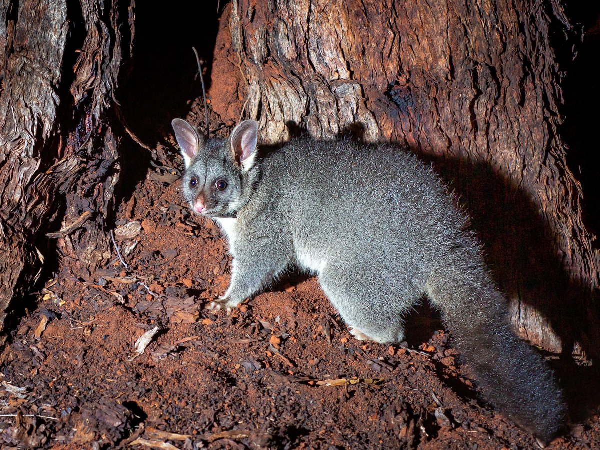 Ellie Lily Rose 🏳️🌈🏳️🌈 tweet media