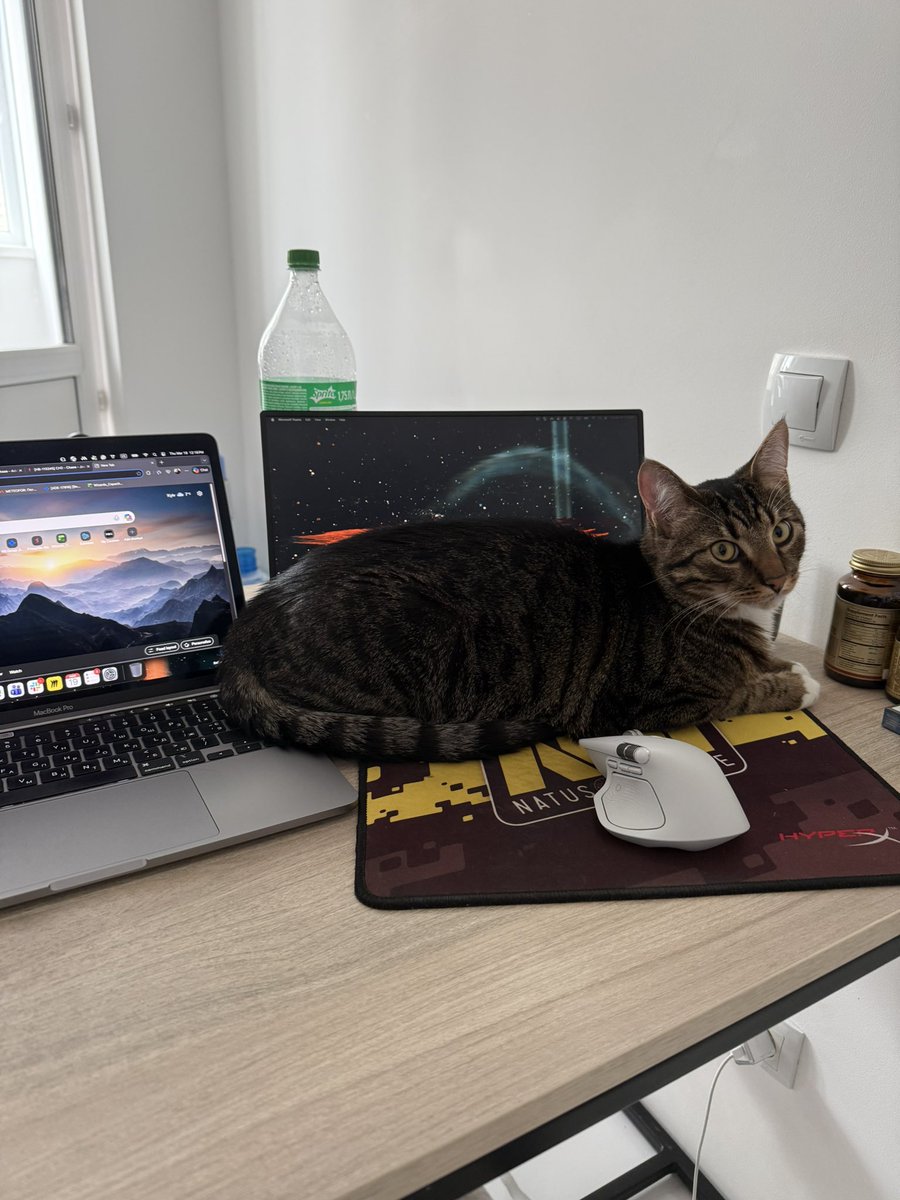 влад tweet media