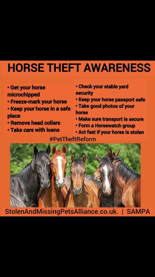 Pet Theft Awareness tweet media