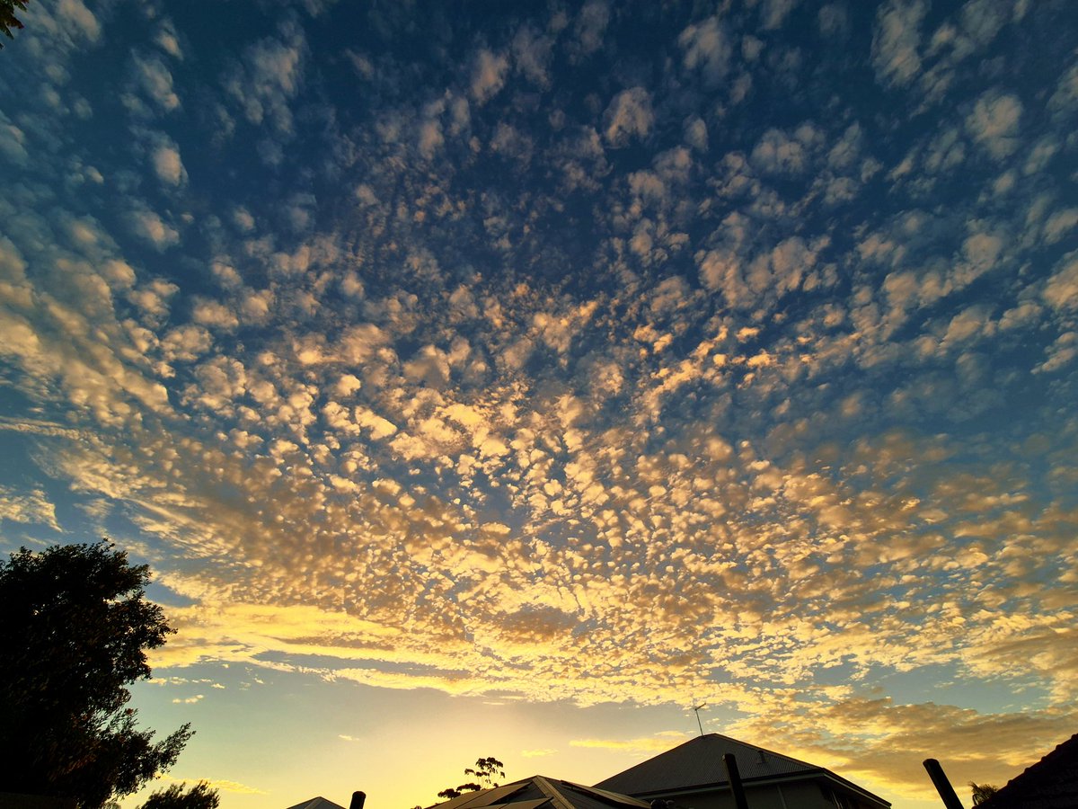 💧🎀 Manjit Kaur tweet media