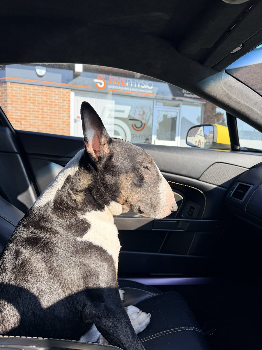 LUDEN Automotive tweet media