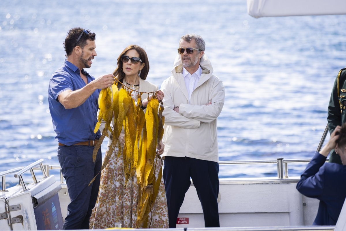 Department of the Prime Minister and Cabinet tweet media