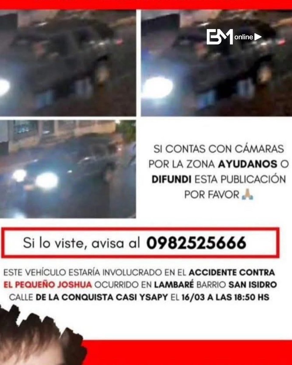 Bruno Masi tweet media