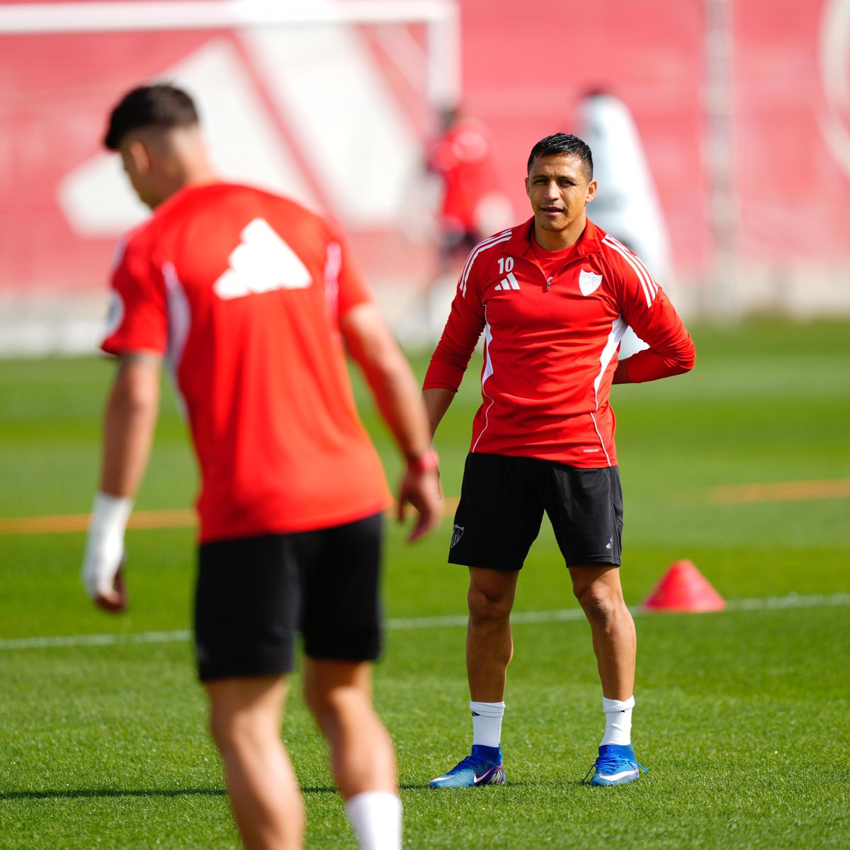 Sevilla Fútbol Club tweet media