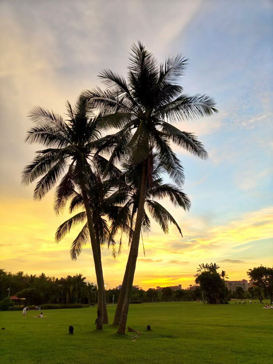 Tone Davis tweet media