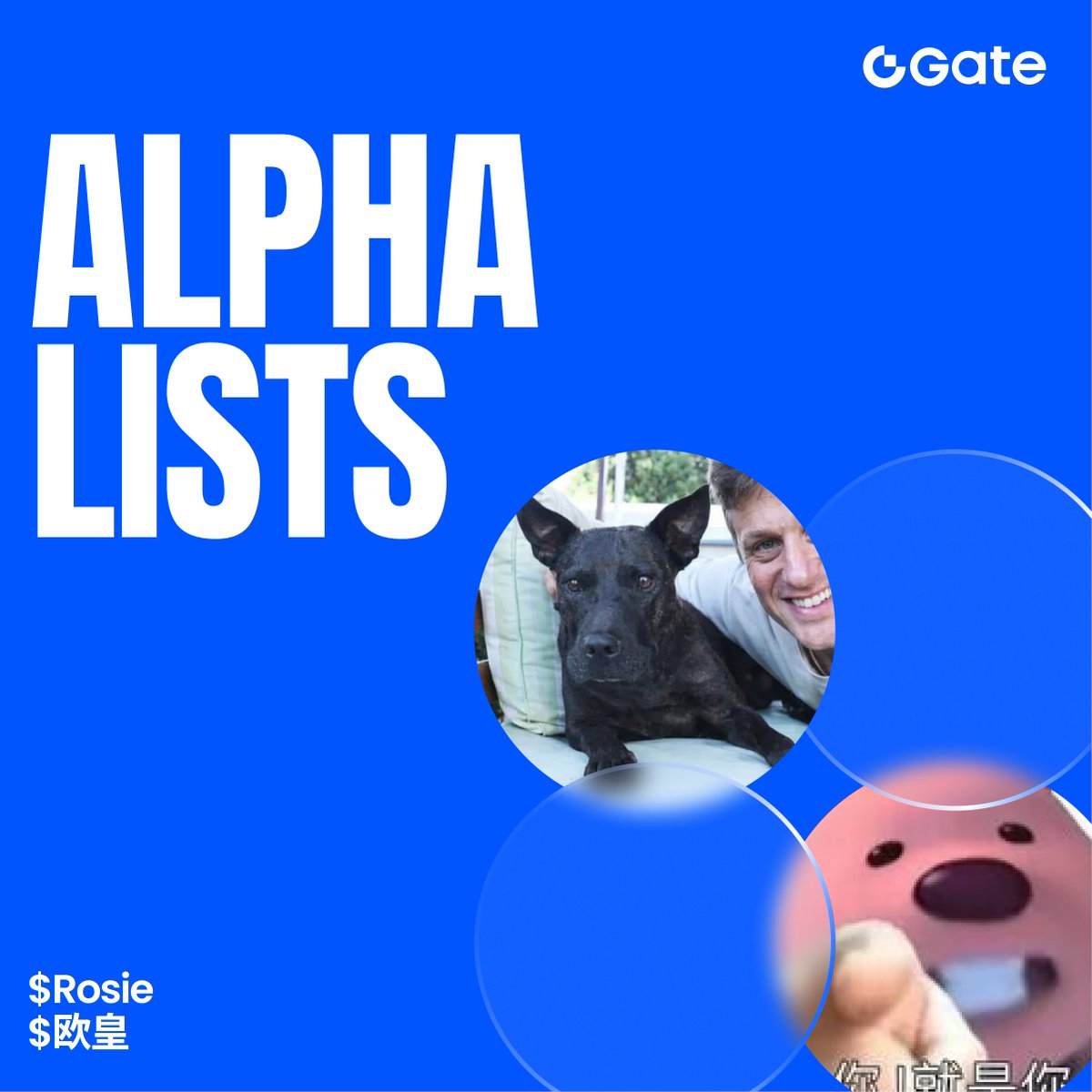 Gate Alpha tweet media