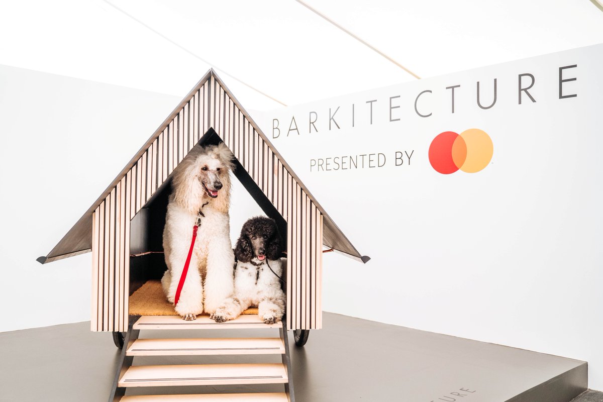 BognorRegisObserver tweet media