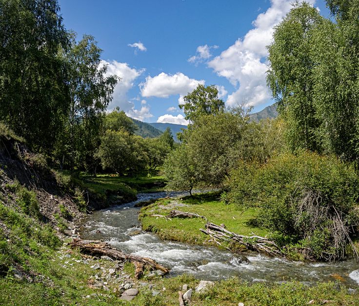 Exploreforever tweet media