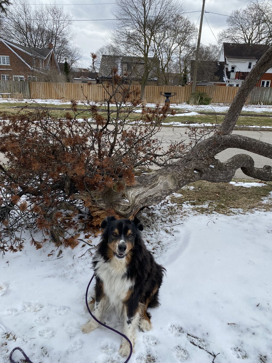 David Hiller tweet media