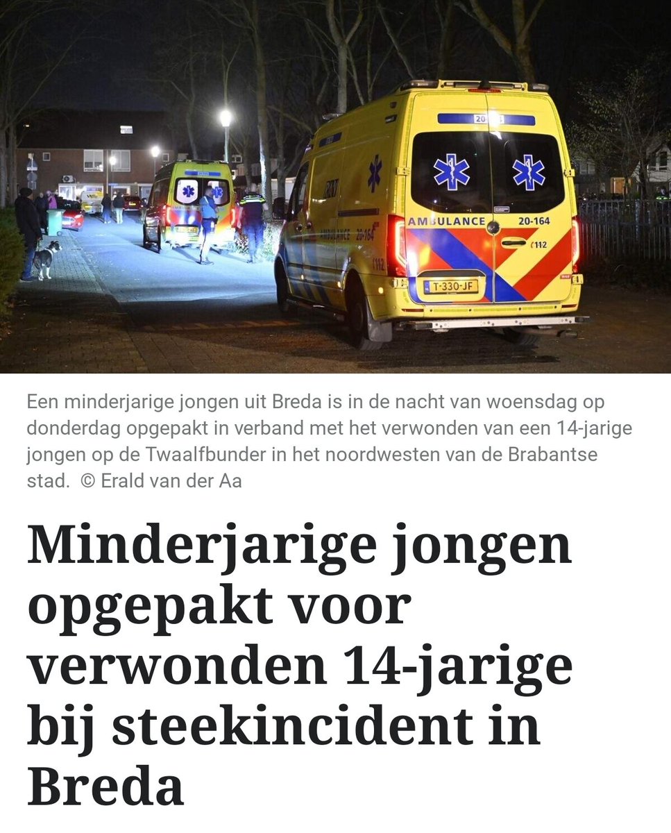 Steekpartij in Breda bij Twaalfbunder, jongen opgepakt