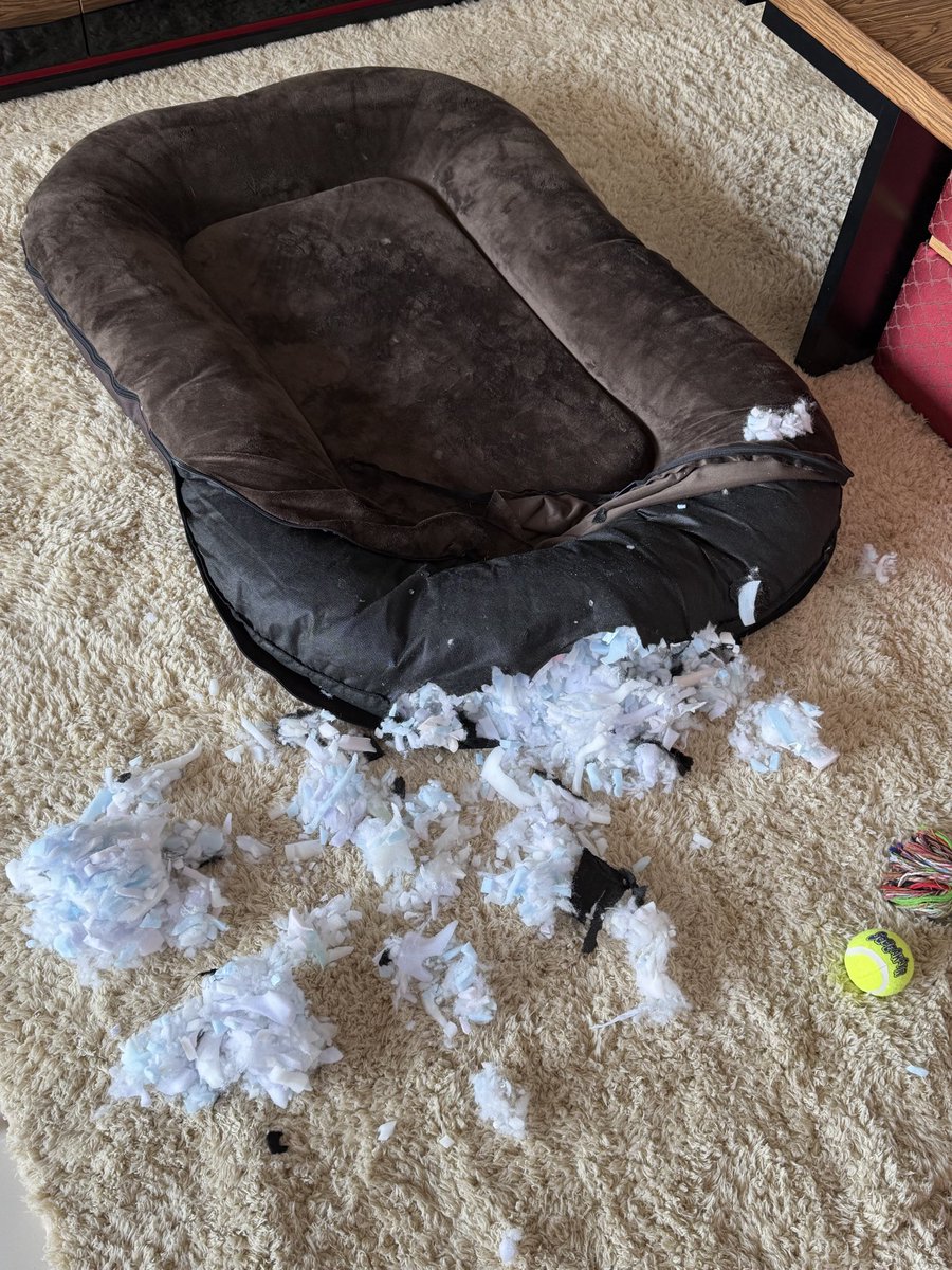 Crypto King tweet media