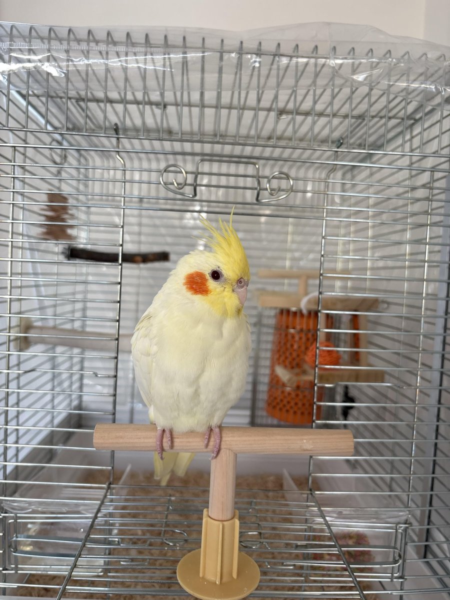 認定NPO法人TSUBASA -新施設クラファン達成しました！- tweet media