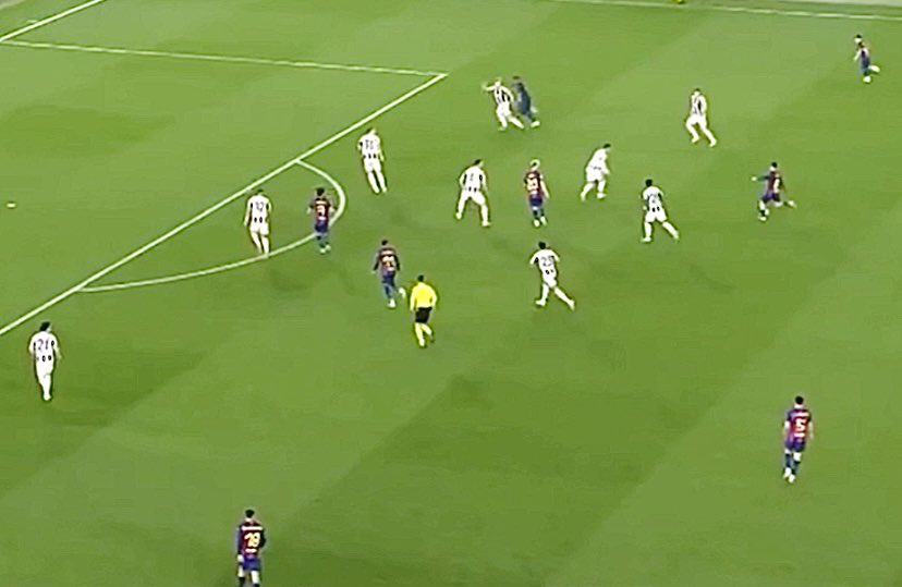 BR0TD🕊 tweet media