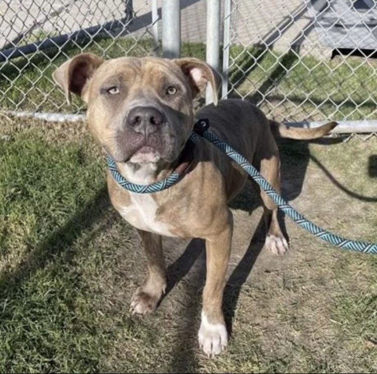 Olwyn Hope tweet media