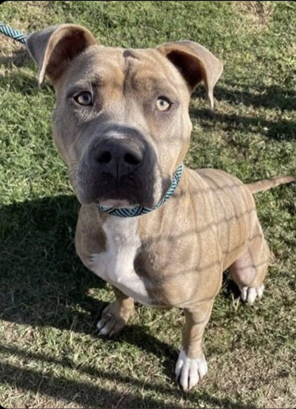 Olwyn Hope tweet media