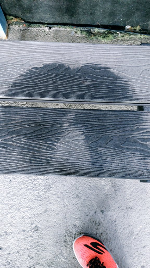 Peter 🇹🇹 tweet media