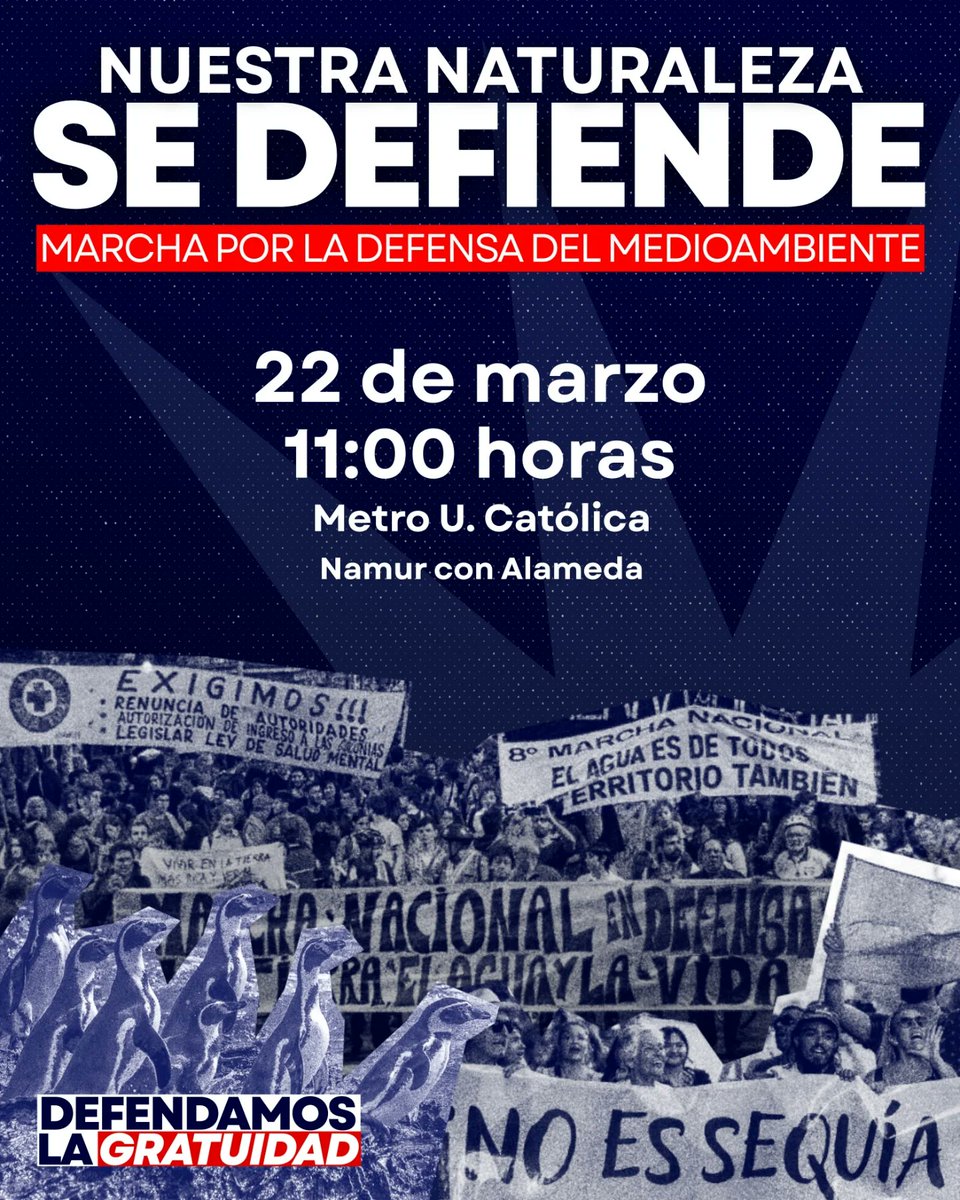 Teniente Telodamus tweet media