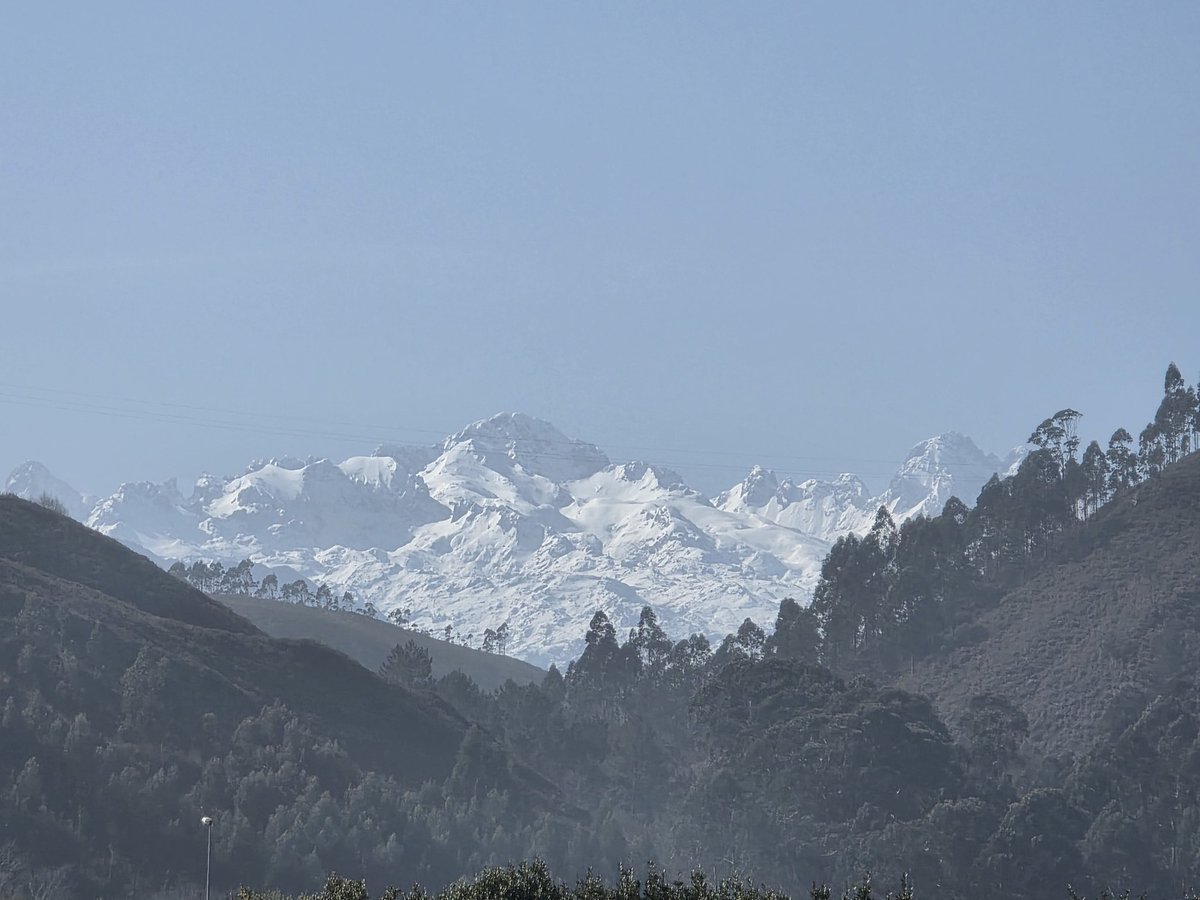 Blanca Cueto Frade tweet media