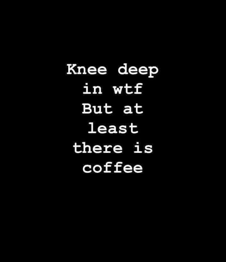 Sarah Sizzle tweet media