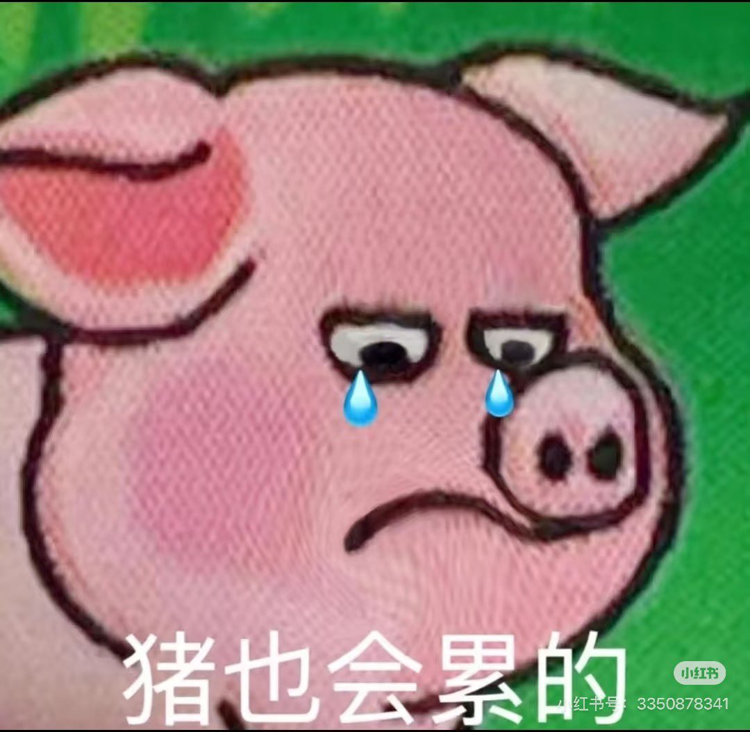 CryptoCat|猫姐🐈 tweet media