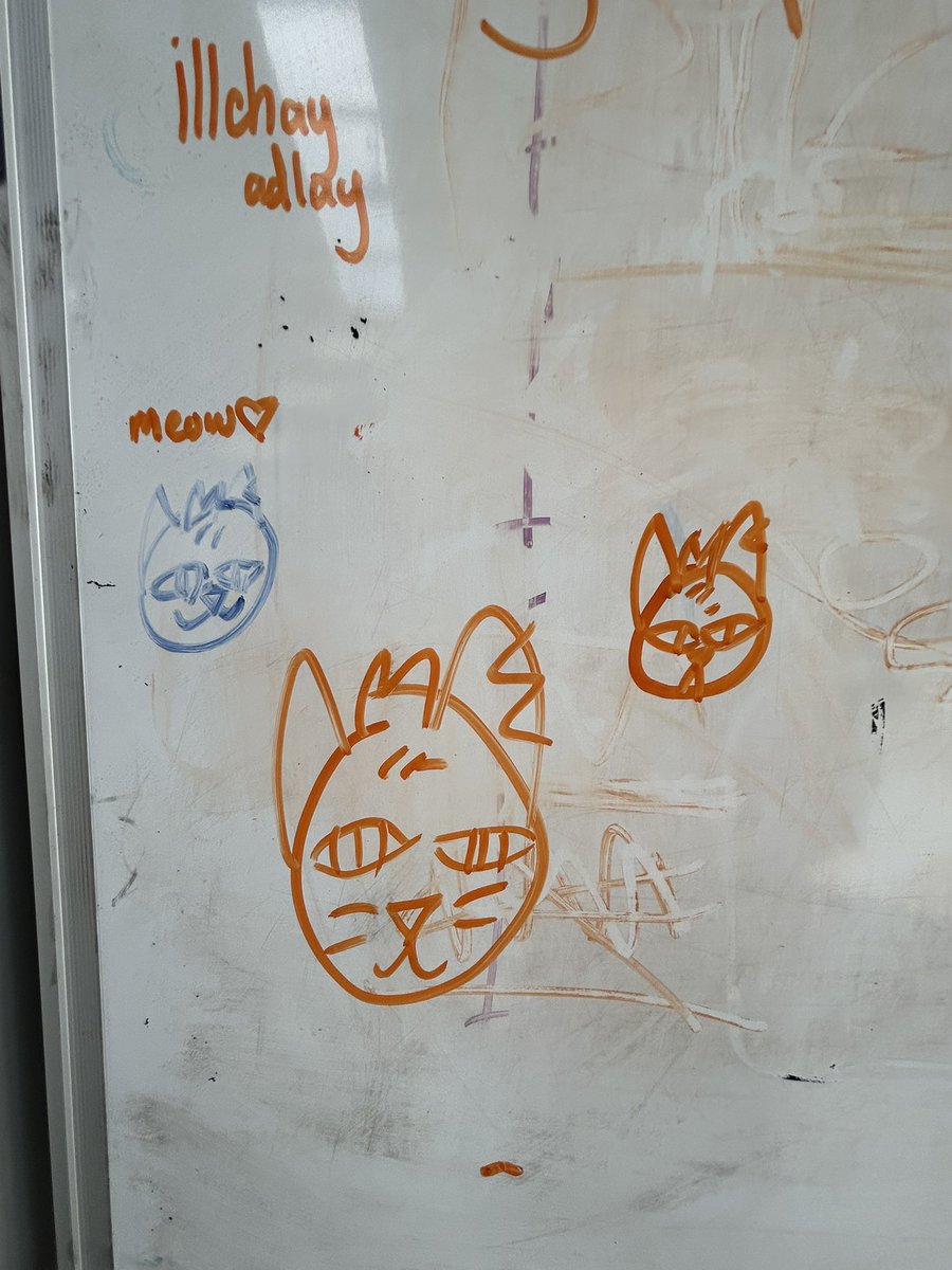 Minks! :3 tweet media