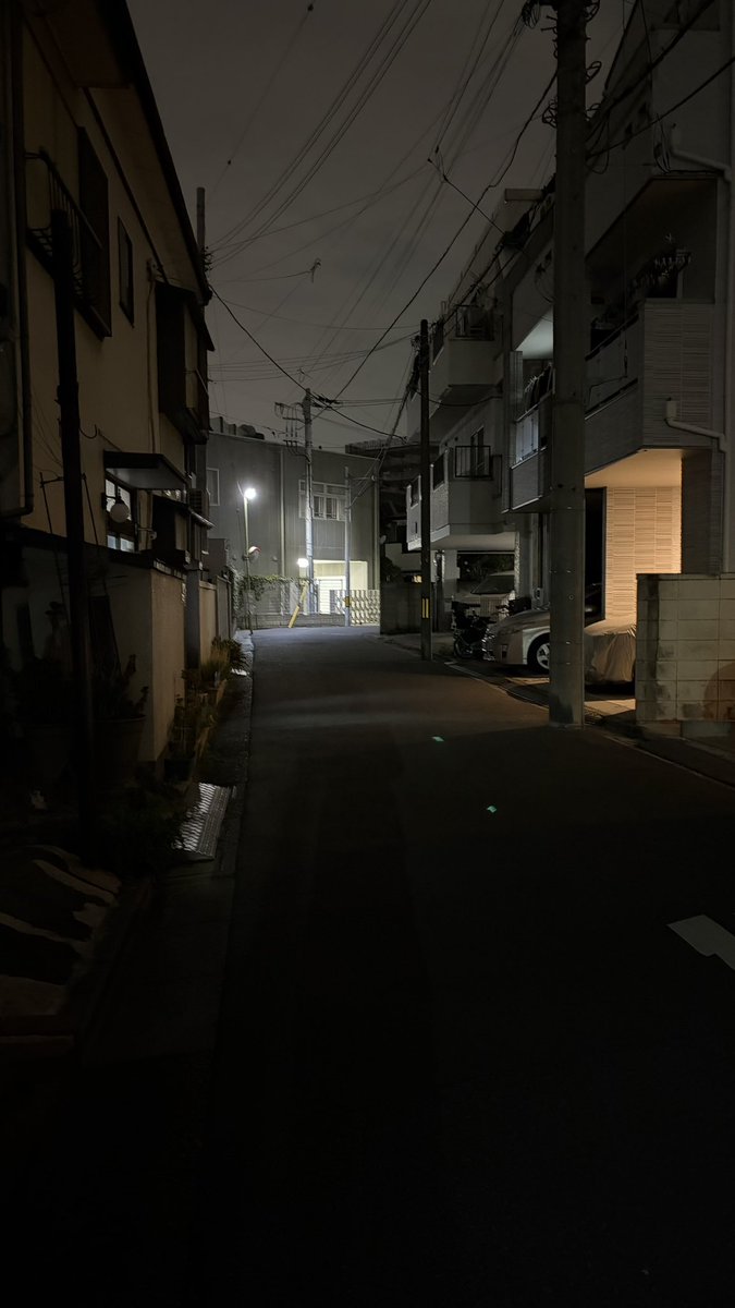 自動人形 tweet media